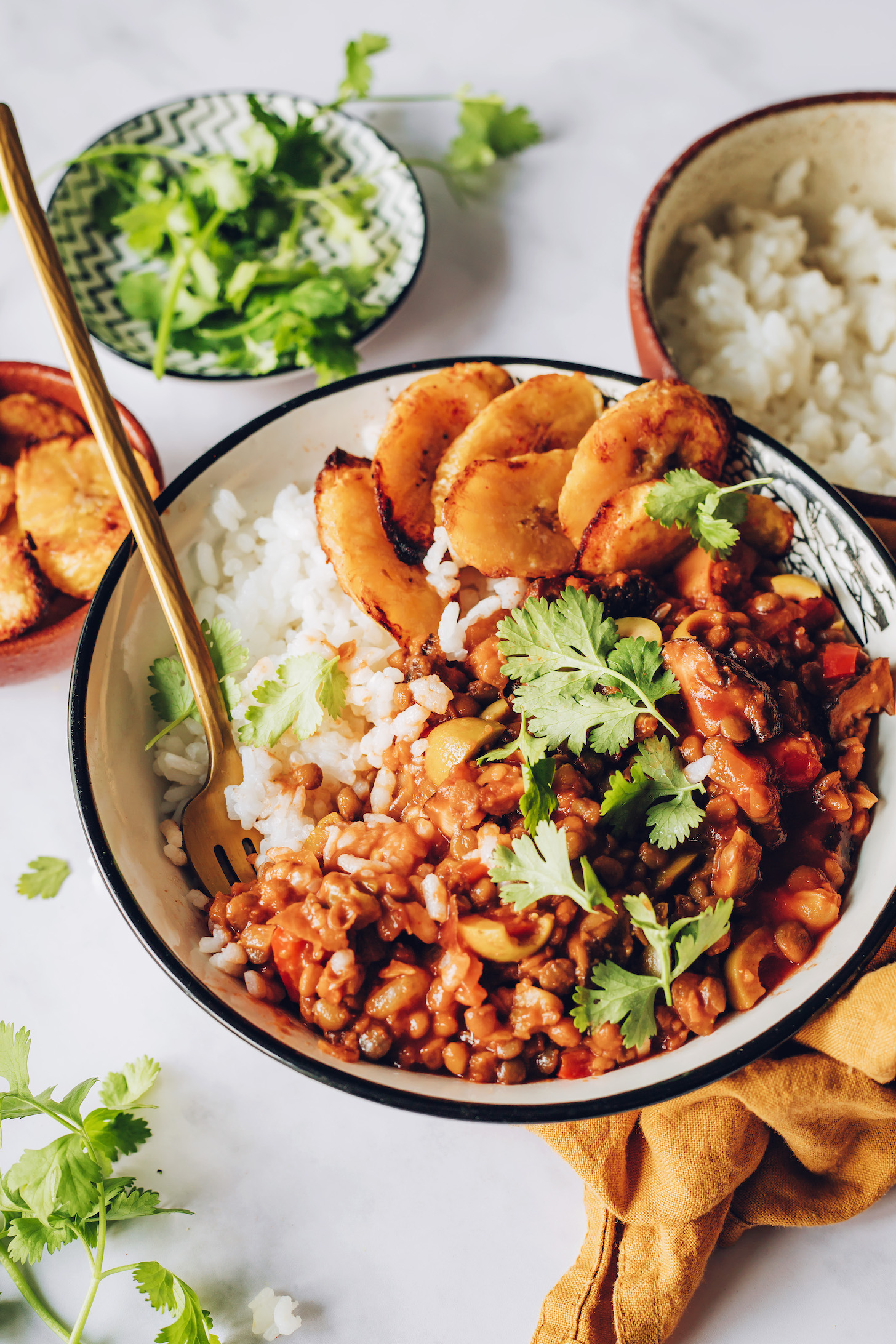 Gold fork resting in a bowl of vegan picadillo served with plantains and rice