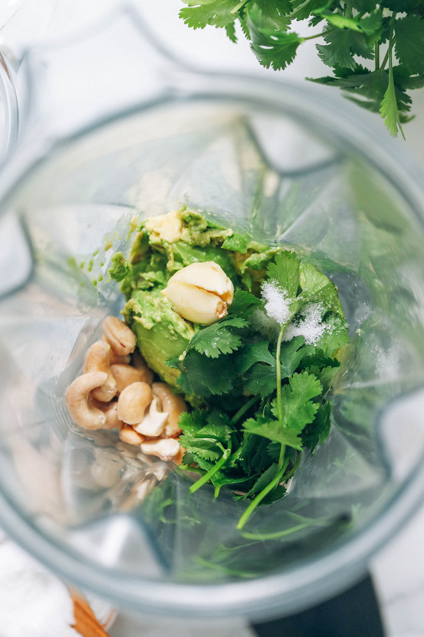 Blender with cashews, avocado, garlic, cilantro, salt, and lime juice
