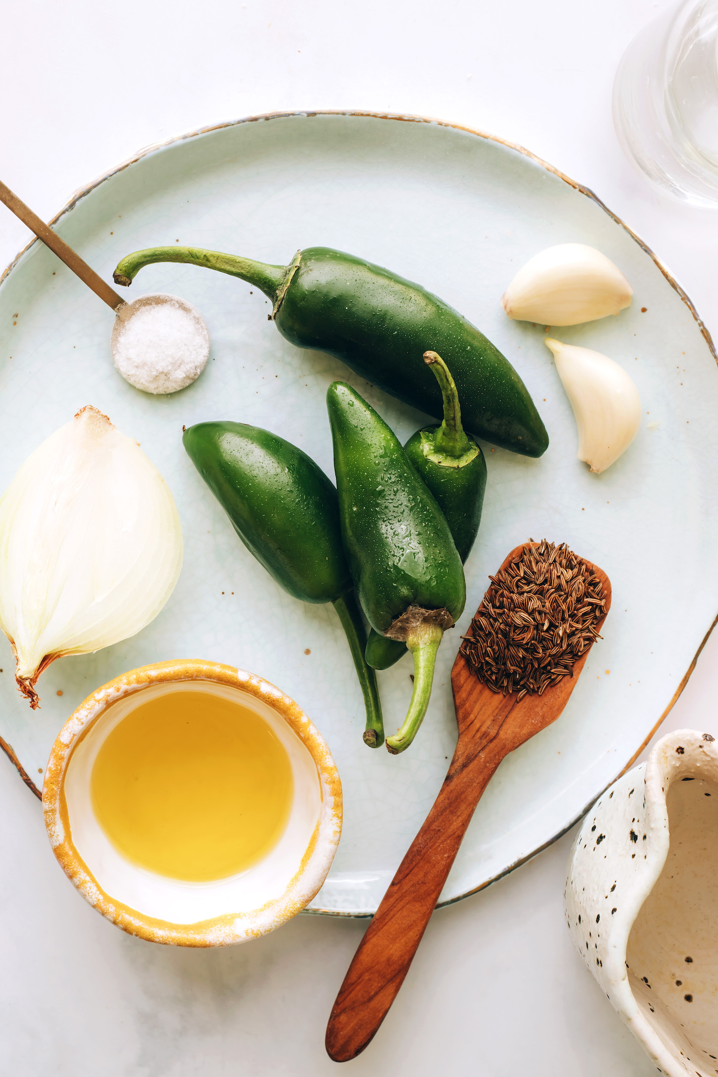 Garlic, jalapenos, onion, olive oil, cumin seeds, vinegar, and water