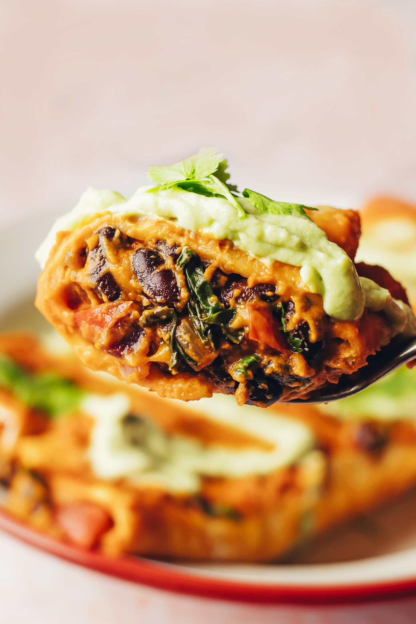 Close up shot of a bite of enchiladas with a black bean filling and creamy pumpkin sauce