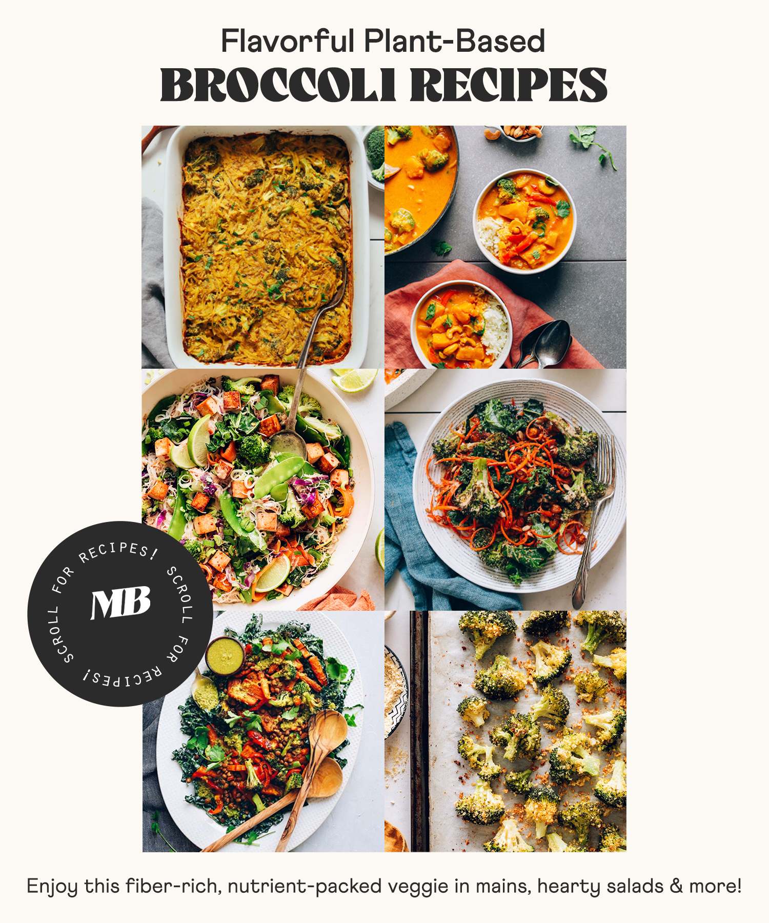 Image of flavorful plant-based broccoli recipes