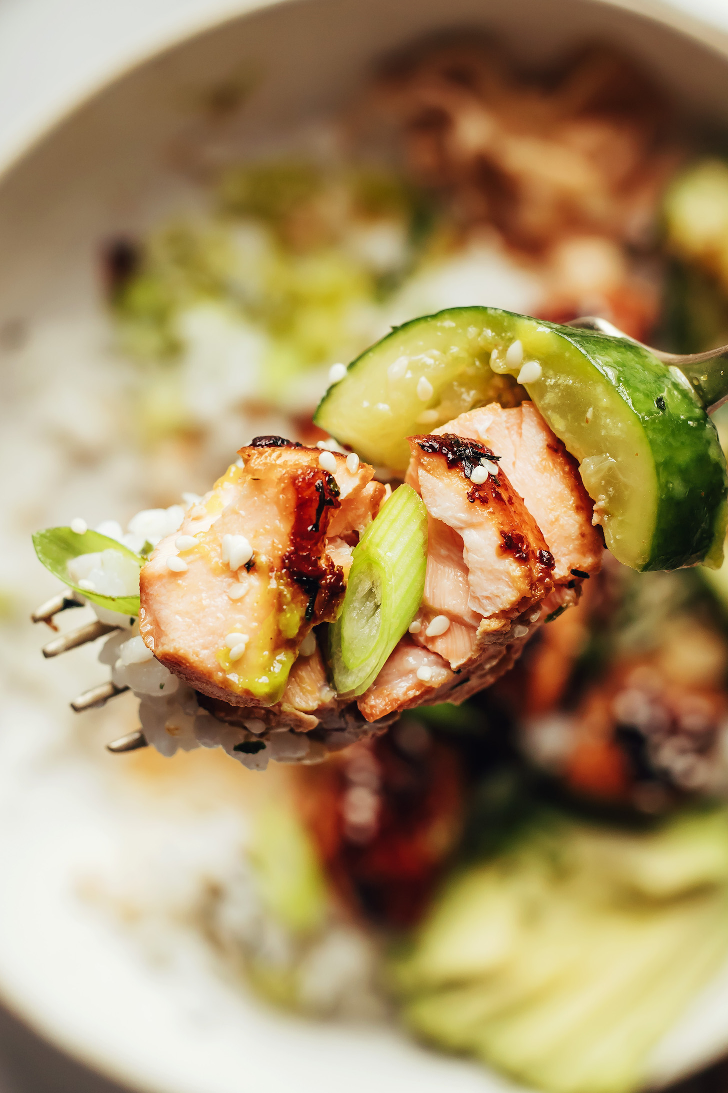Close up shot of salmon, cucumber, rice, and green onion on a fork