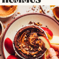Image of fudgy chocolate peanut butter hummus