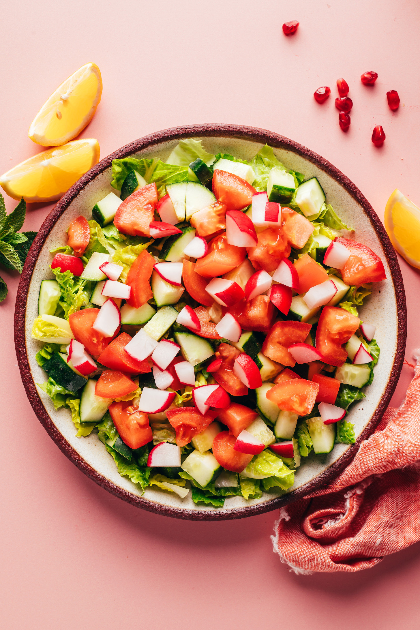 Chopped cucumber, radish, and tomato over a bed of romaine lettuce