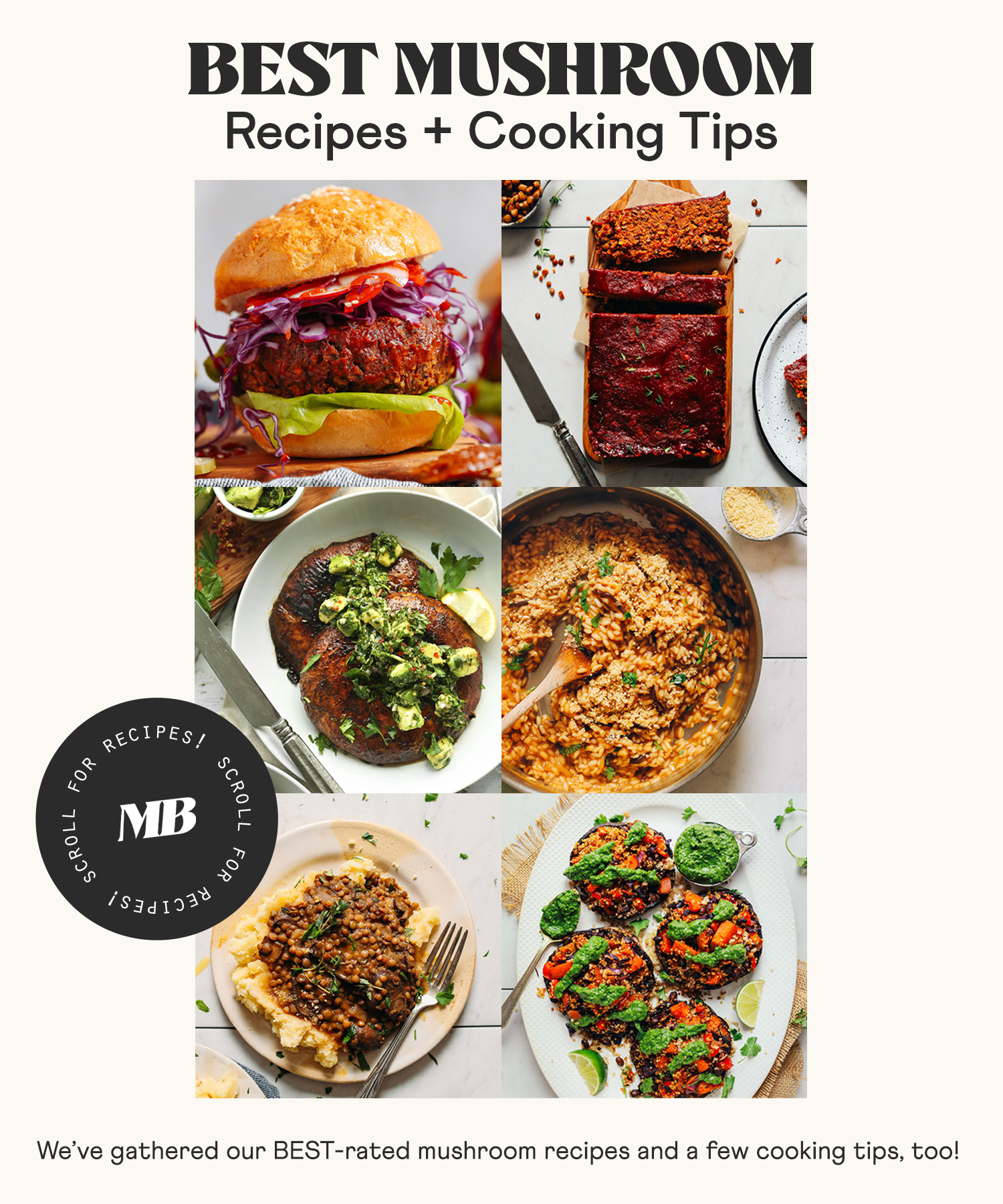Assortment of dairy-free mushroom recipes
